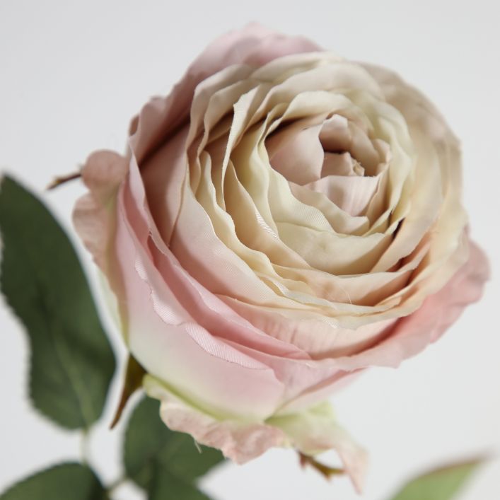 Rose Stem 770mm, Light Pink