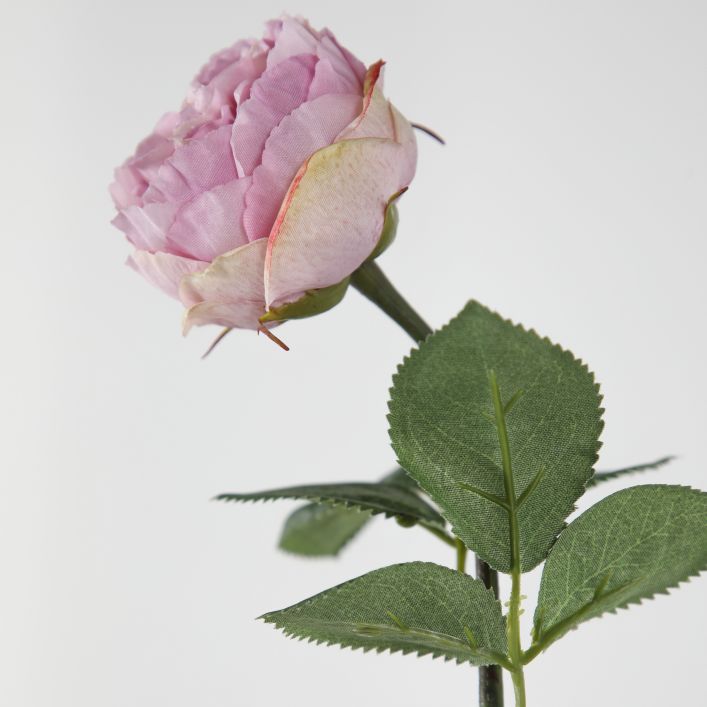 Rose Stem 370mm, Lilac